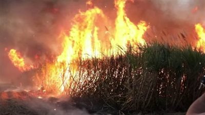 بعد استثمار إسرائيل فيه، حريق مئات الأفدنة من محصول قصب السكر بإثيوبيا 