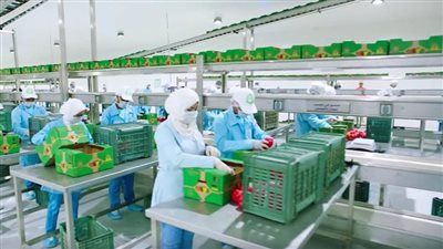  الشروط الجديدة التي حددها القانون لدخول المحاصيل للحجر الزراعي؟