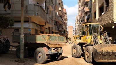 رئيس مركز منيا القمح يتابع أعمال الرصف وقص الأشجار