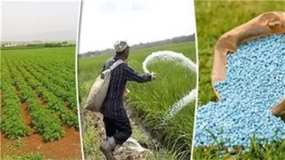 طن اليوريا يتراجع 2641 جنيهًا، تعرف على أسعار الأسمدة في الأسواق