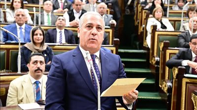 عبد الصادق الشوربجي يؤدي اليمين رئيسًا للهيئة الوطنية للصحافة أمام النواب