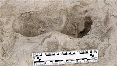اكتشاف آثار أقدام في إفريقيا.. دليل جديد يغير فهمنا لتطور البشر قبل 1.5 مليون سنة