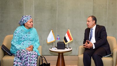 عبد العاطي يطالب مؤتمر غزة بتوجيه رسالة حاسمة بضرورة الوقف الفوري لإطلاق النار