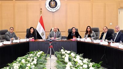 وزير الصناعة: خطة لإنشاء مدينة متكاملة لتصنيع إطارات السيارات