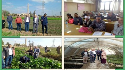 زراعة الشرقية تنظم ندوات إرشادية 