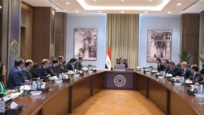 رئيس الوزراء: توفير احتياجات الدولة من القمح بأقل الأسعار 
