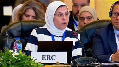 الهلال الأحمر المصري: نعمل مع الشركاء لتعزيز الاستجابة الإنسانية في غزة