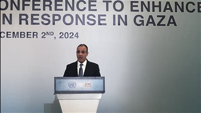 وزير الخارجية: تهجير الفلسطينيين مرفوض وخط أحمر لمصر 