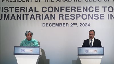 بدر عبد العاطى يكشف عن خارطة طريق للوصول إلى إقامة الدولة الفلسطينية 