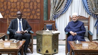 شيخ الأزهر لوزير خارجية مالي: ندعم استقلال الشعوب الإفريقية وتطهير القارة من الاستعمار