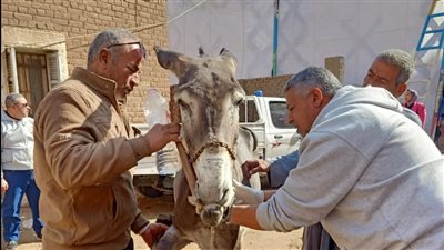 إطلاق قافلة بيطرية زراعية بقرية أويش الحجر في الدقهلية (صور )