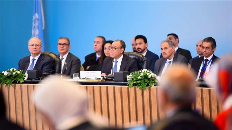 بدر عبد العاطى وزير