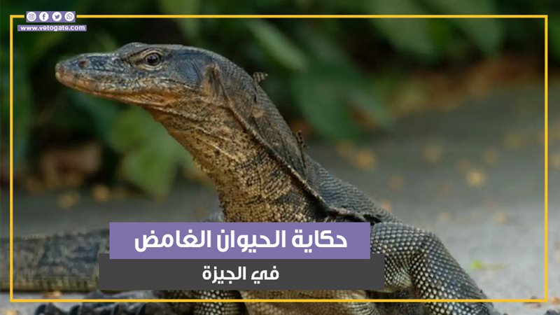 حيوان الورل