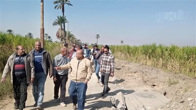 حملة إزالة للمخالفات وأعمال النظافة والإنارة بالزينية في الأقصر (صور)