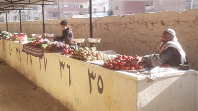 بدء تسكين أصحاب الفروشات بسوق شل الحضري في الإسماعيلية (صور) 