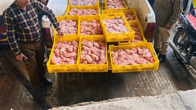 تحرير 1570 مخالفة تموينية في حملات على الأسواق والمخابز خلال نوفمبر