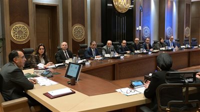 دولة خضراء بحلول 2029، مدبولي: زراعة 100 مليون شجرة لتغيير وجه مصر