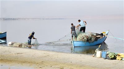رحلة تخريب بحيرة قارون.. القضاء على الثروة السمكية بسبب تسريب مياه الصرف الصحي والزراعي.. ارتفاع نسبة الملوحة لمستويات قياسية.. والبيئة تتبنى مشروعات لإعادتها للحياة