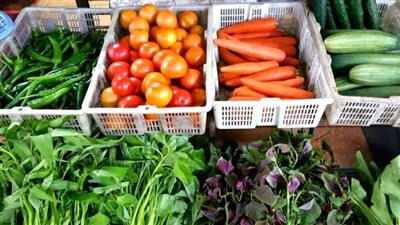  أسعار الخضراوات اليوم، الطماطم بـ 6.5 جنيه والثوم يقفز لـ 85 في سوق العبور