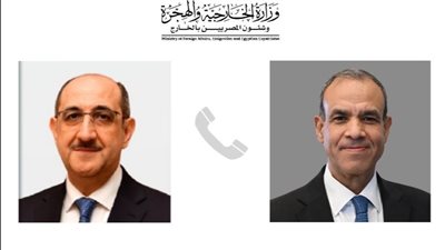 وزير الخارجية يبحث مع نظيره السوري التطورات الميدانية في شمال دمشق 