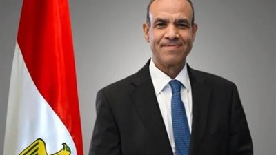 وزير الخارجية يشدد على عدم التسبب في أي ضرر لدول حوض النيل 