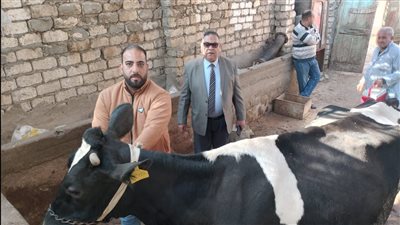 تحصين 152 ألف رأس ماشية ضد الحمى القلاعية في الدقهلية