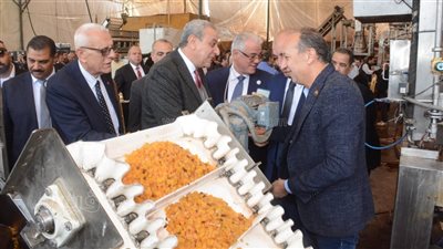 لجنة الزراعة والري بالنواب توصي بحل مشكلات قرية 