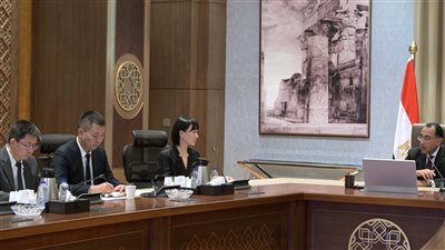 رئيس الوزراء يبحث مع 