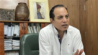 جمال عبدالرحيم: الصحفيون حريصون على خروج الانتخابات بشكل يليق بهم 