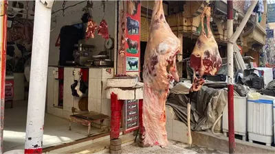 الكندوز يرتفع 5 جنيهات، أسعار اللحوم في الأسواق اليوم الأربعاء 