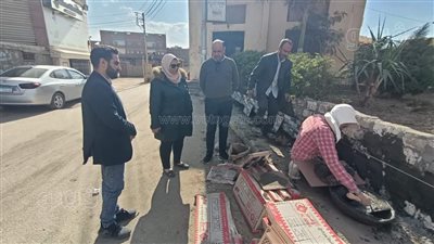 رئيسة مدينة السنطة بالغربية: تطوير أحواض الزراعات بالطريق السريع