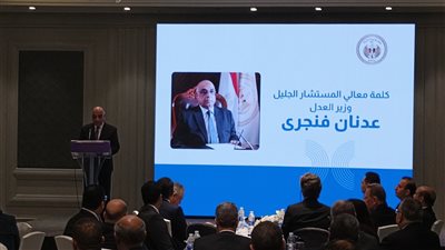 وزير العدل: قضايا الأسرة من أخطر القضايا في المحاكم