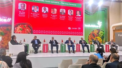 محمد الدماطي: المنتجات الغذائية لديها فرص كبيرة للتواجد في السوق الأفريقي 