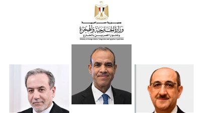 وزير الخارجية يشدد على موقف مصر الثابت والداعم للدولة السورية