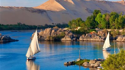 فريق حفر آبار صيني يحول صحراء مصر إلى جنان خضراء