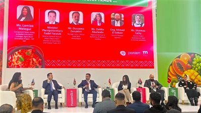 التمثيل التجاري: مصر تحرص على تعزيز علاقاتها التجارية والاقتصادية مع الدول الأفريقية 