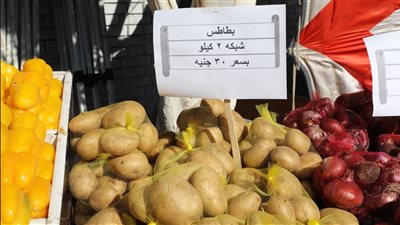 سوق اليوم الواحد بإمبابة يفتح أبوابه للمواطنين غدًا الجمعة (صور)