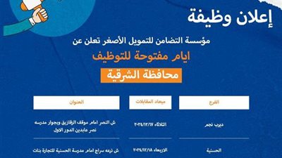 عمل الشرقية تعلن عن فرص عمل بمؤسسة التضامن للتمويل الأصغر
