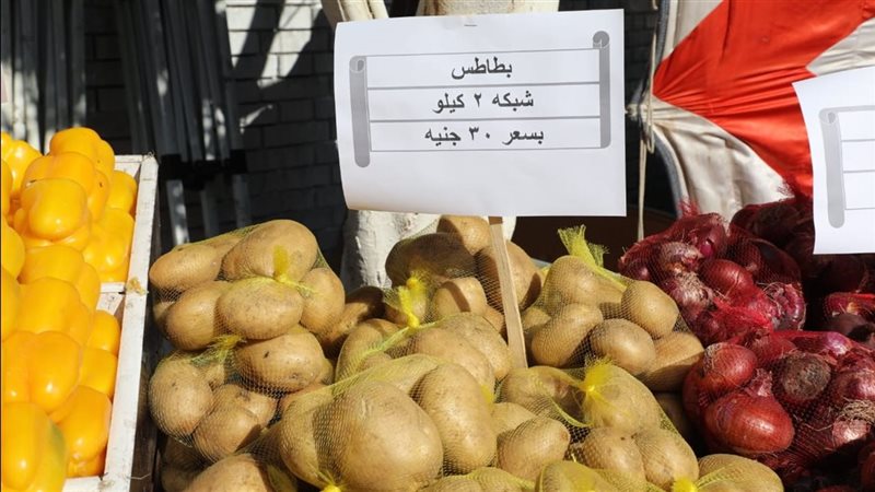 سوق اليوم الواحد