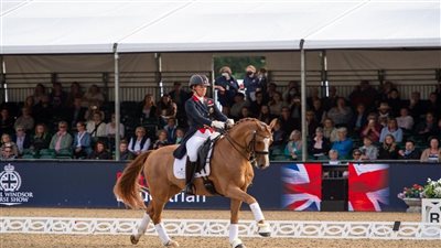 حصان السبب، إيقاف فارسة بريطانية لمدة عام (فيديو)