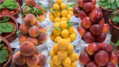 أسعار الفاكهة اليوم بسوق العبور، الموز يصالح المصريين والخوخ المستورد بـ 70 جنيها 