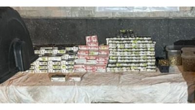 الداخلية: إحباط محاولة جلب 91 ألف طلقة داخل حاوية قطع غيار سيارات