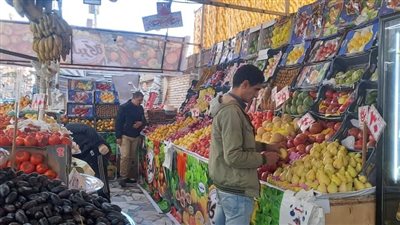 إعدام أغذية في حملة على المنشآت التجارية في المنصورة (صور)