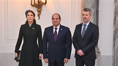 انطلاق منتدى الأعمال المصري الدنماركي بمشاركة السيسي والملك فريدريك