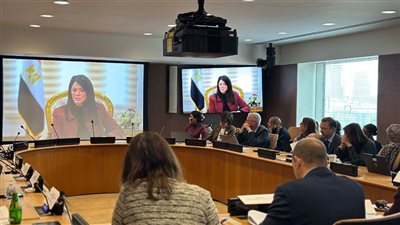 وزيرة التخطيط: الطريق إلى 2030 مليء بالصعوبات 