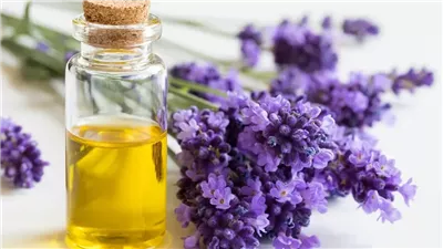 حصاد الياسمين.. يوميات «الإيد الشقيانة» مع الزهور والعطور.. قرية «شبرا بلولة» بمحافظة الغربية تساهم بأكثر من نصف إنتاج العالم.. قطف المحصول يبدأ فى ساعات الفجر الأولى