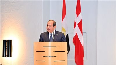 السيسي: الأهداف المشتركة التي تجمع مصر والدنمارك فرصة ثمينة لتعزيز التعاون بمختلف المجالات