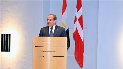 السيسي لملك الدنمارك: علينا تحمل مسؤولية نشر قيم العدالة والسلام والتسامح ونبذ الحروب والكراهية