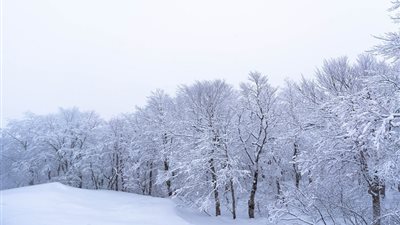 موجة صقيع قوية تضرب اليابان