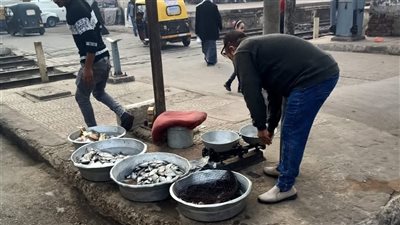 حملة لإزالة الإشغالات بمنيا القمح في الشرقية 